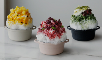 VERMICULAR SHAVED ICE SALON